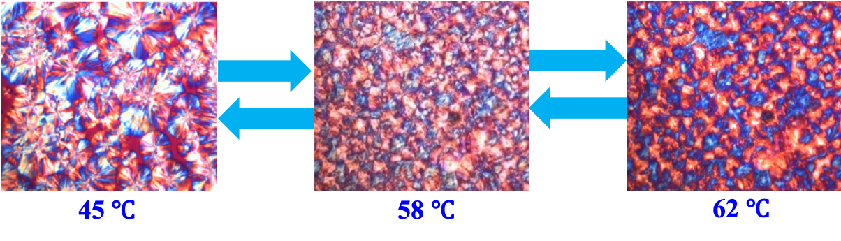 621b1e43c1884837839fc76037af767c.png 68905302ceb8451cc7e8e743fc71c7c5_2fb09afbada445a48b3142cd358aec7c.png